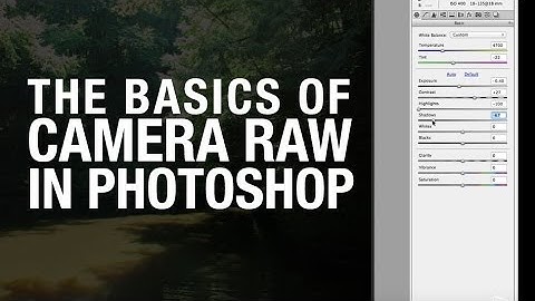 Camera RAW basics in Adobe Photoshop