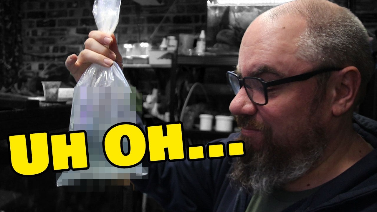 Этот новый улов рыбы пошел совершенно не так.