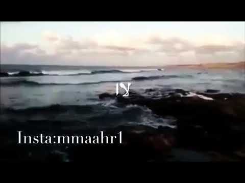 يا ورد انحني يا كل الدني ما في بجمالا