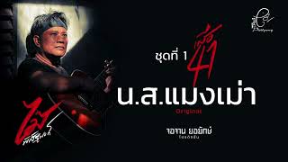 น.ส.แมงเม่า - ไม้ พิสิฐพงศ์ กิ่งแก้ว [AUDIO VERSION]