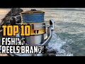 Top 10 Best Fishing Reel Brands in 2024