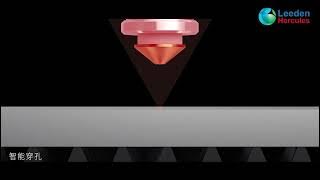 Bodor C Series | Fiber Laser Cutting Machine