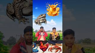 Wow Cake Ram Bhakt Kahani Jai Shree Ram Har Har Mahadev Jai Jai Bajrangwali #shorts #mmmrazz #funny