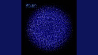 My Sunset - Orkidea