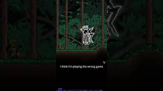 Terraria #terraria #tmodloader #deltarune