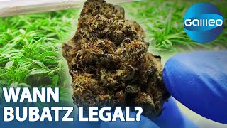 Die Legalisierung von Cannabis steht in den Startlöchern | Galileo | ProSieben
