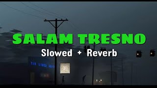 SALAM TRESNO (slowed   reverb) (lirik)