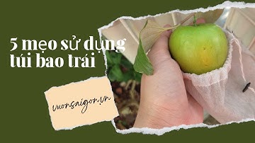 Túi vải bao trái cây - Bạn đã biết sử dụng đúng cách chưa? ( Vườn Sài Gòn - 0909 1234 09)