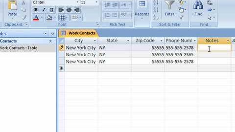 Format Text in Access 2007