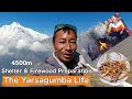 Preparing for shelter  firewood in high altitude  the yarsagumba journey 