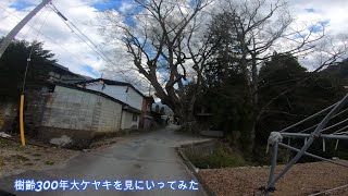 オフロードバイクでツーリング 諏訪大社の巨木を見に行ってみた④ 後編 (大ケヤキにやっとたどり着きました。。) オフロードバイク ツーリング 山梨県 笛吹市 芦川 オフロードバイクでツーリング 諏訪大社の巨木を見に行ってみた④ 後編 (大ケヤキにやっとたどり着きました。。) オフロードバイク ツーリング 山梨県 笛吹市 芦川