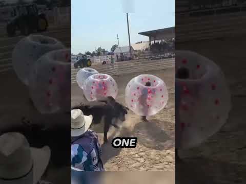 This Bubble Bull