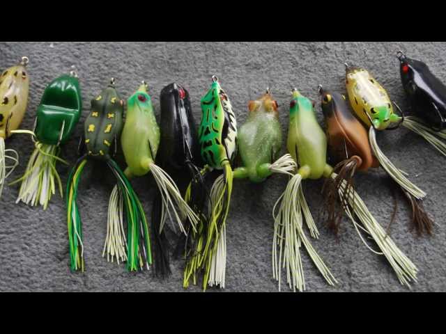 Mastering Topwater Frog Fishing: Essential Tips for Largemouth Bass in  Heavy Cover 