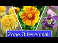 Perennials for Cold Climates Zone 3