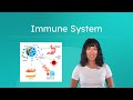 Understanding the Immune System