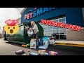 How Could They! Dumpster Diving at Retail Stores