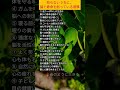 知らないうちに、 脳と寿命を削っている習慣#炎のように生きて#名言#人生#心に響く言葉#人間関係#人生の教訓#生き方#幸せ#老後#シニア#自己啓発#老後