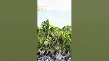 What A Shot Https Youtu Be KVgWXj2Xto8 Si BvldPmhuRZgHPfQZ Viralvideo Hunterlife Junglehunter 