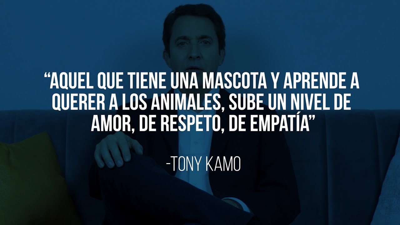 UNA MASCOTA EN TU VIDA | Tony Kamo - YouTube