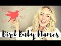 10 Bird Baby Names for girls and boys | SJ STRUM BABY NAME MONDAYS
