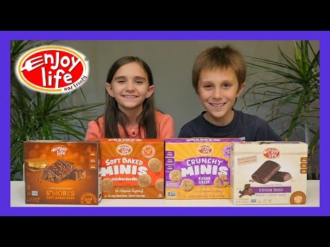 ENJOY LIFE FOODS ALLERGY FRIENDLY COOKIES & BARS TASTE TEST