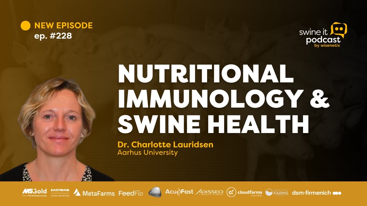 Dr. Charlotte Lauridsen: Nutritional immunology and swine health | Ep ...