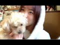 愛犬に変なところに手を入れられて焦る篠崎彩奈 の動画、YouTube動画。