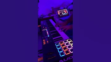 Shallow - Lady Gaga | M Audio Code 61