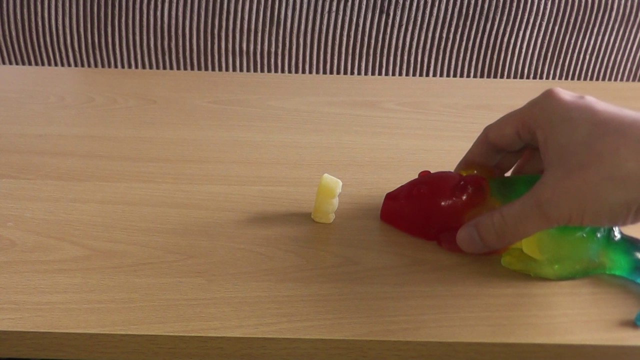 Jelly Babies meet Giant Gummi Rat YouTube