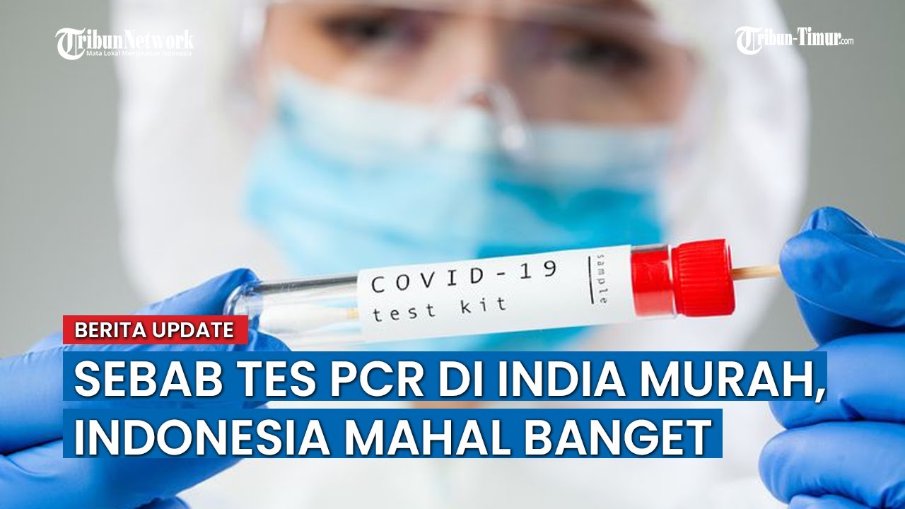 Pcr test murah