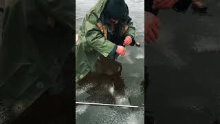 Щука схватила мормышку. Зимняя рыбалка 2023