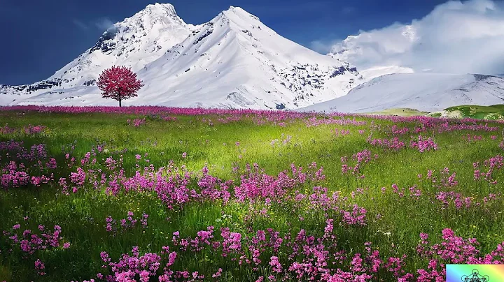 Stimulate Creativity with Symphony of Nature - Relaxing music and sounds of Nature
