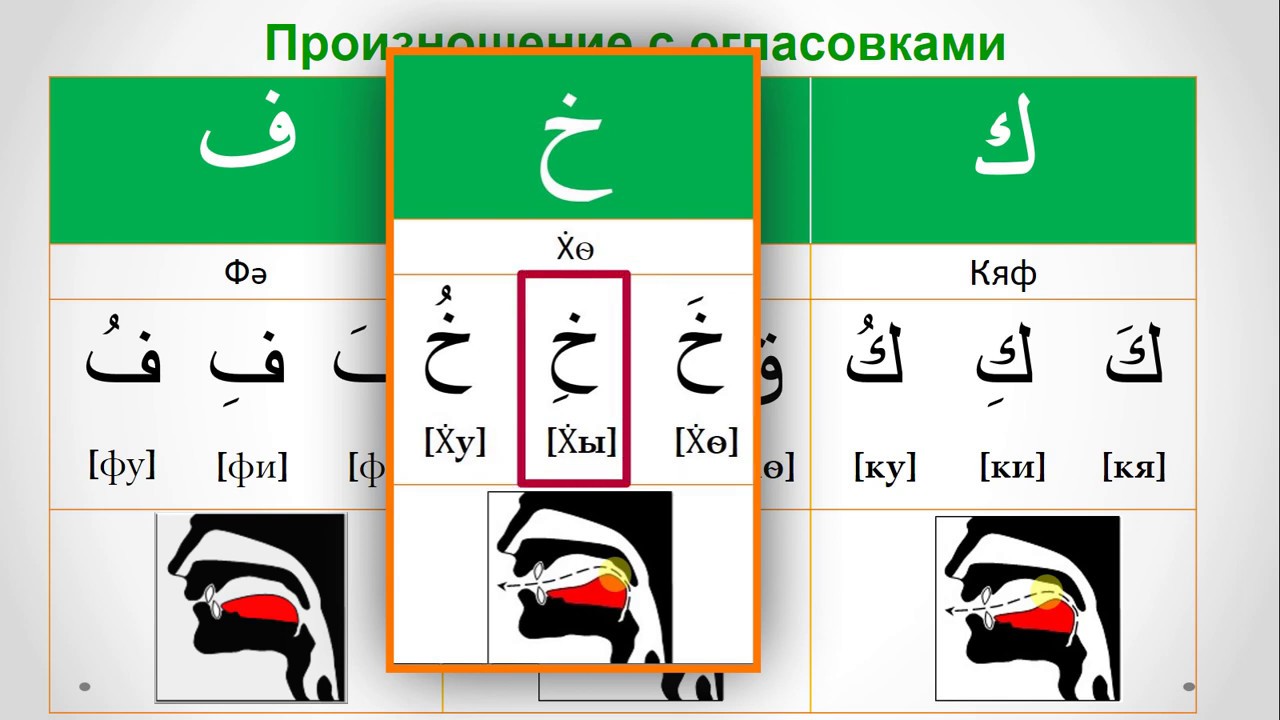 Арабский язык спб. Алфавит арабского языка таджвид. Арабский язык для начинающих с нуля алфавит. Арабский алфавит с транскрипцией и произношением для начинающих. Буквы в арабском языке произношение.