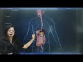 Shaurya 1.0 biology lecture @NdA_by_pw_2026 #nda #pw