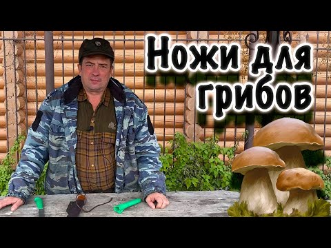 Мои ножи для грибов. Какой нож взять за грибами?