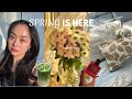 spring chronicles | I'm defrosting and life is good🌸🌤️🍜