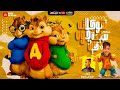 مهرجان شوكولاته سايحه جوة كيك