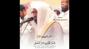 ذلك جزاء اعداء الله-سورة فصلت-تلاوة الشيخ ناصر القطامي