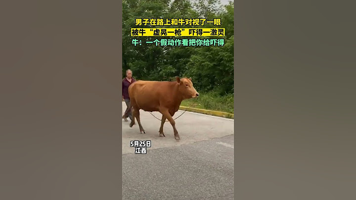 男子在路上和牛对视了一眼  被牛“虚晃一枪”吓得一激灵