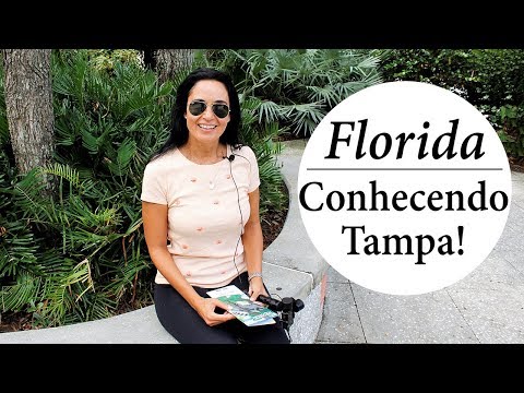 Vídeo: 24 Horas Em Tampa, FL - Matador Network