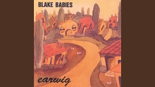 Watch Blake Babies Not Just A Wish video