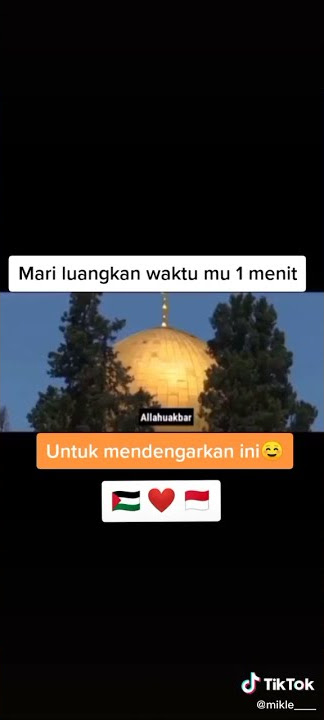 Story wa 30 detik || save Palestina