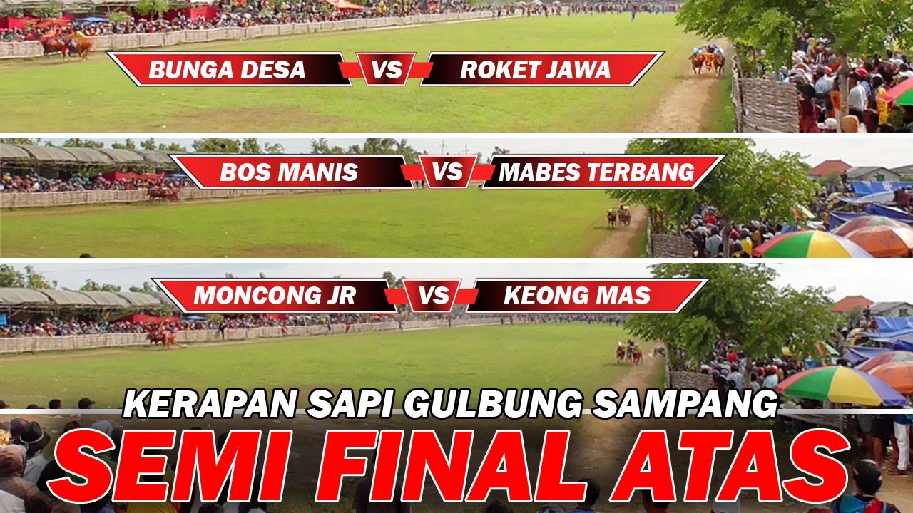 Semi Final Atas Kerapan Sapi Gulbung Sampang Roket Jawa, Mabes Terbang, Moncong JR