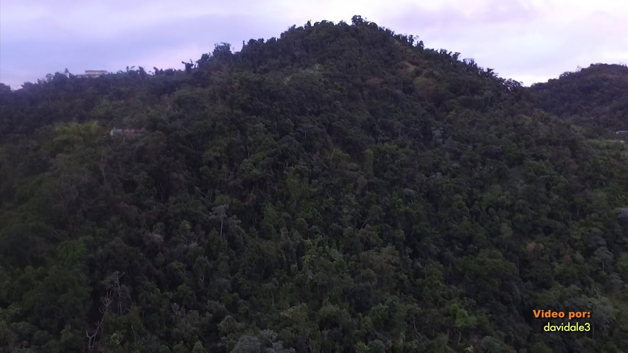 Montañas de Puerto Rico
