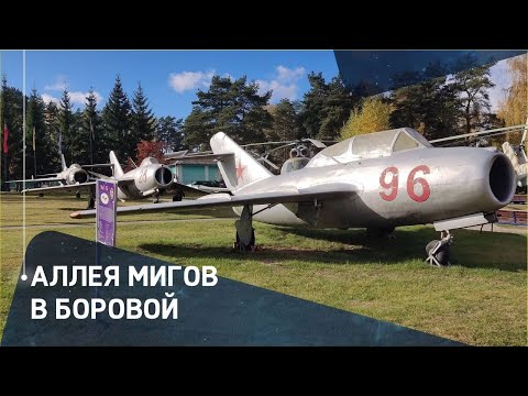 Аллея МиГов в музее авиационной техники в п.Боровая (Минск)