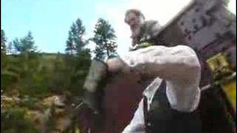 Georgetown Loop Railroad