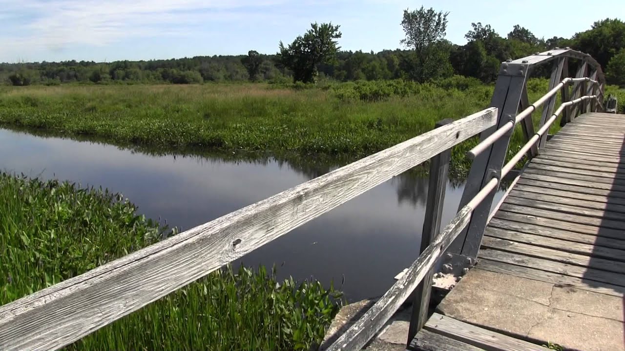 Little Pond Boardwalk, Litchfield CT YouTube