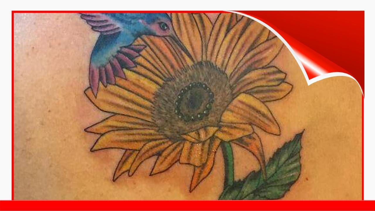 Sunflower rose and hummingbird