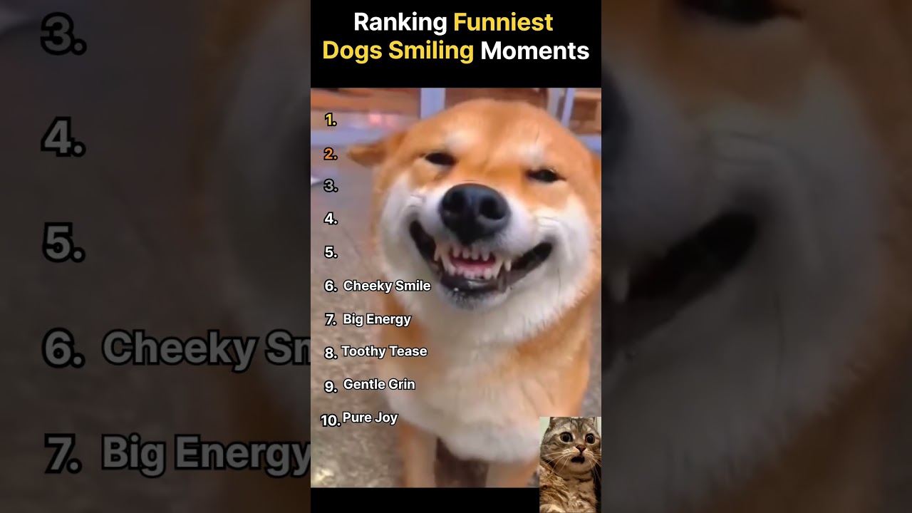 Top 10 Funniest Dogs Smiling Moments! 😂🐶 