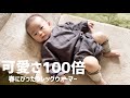 赤ちゃんにレッグウォーマーは可愛いすぎた【生後4ヶ月の赤ちゃん